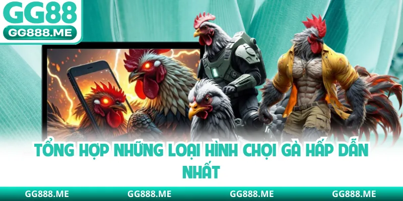 Tổng hợp những loại hình chọi gà hấp dẫn nhất